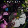 辽宁网友97427