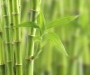 吉林网友80425