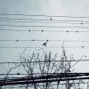 云南网友81656