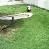 四川网友25578