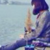 上海网友65627