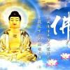 广西网友47283