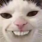 QQ头像
