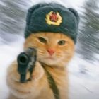 QQ头像