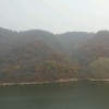 辽宁网友69162