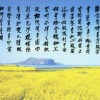 海南网友25148