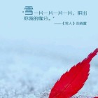 QQ头像