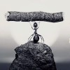 江西网友72700