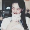 广西网友27726