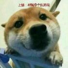QQ头像