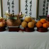台湾网友21549