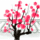 上海网友56152
