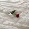 吉林网友10003