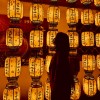 江苏网友17853