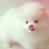 天津网友24681