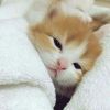 吉林网友35778