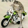 湖南网友71754