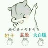 贵州网友15145
