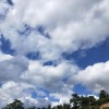 山东网友21687