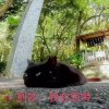 w10747的头像-无忧免费游戏网