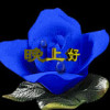 宁夏网友13481