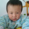 北京网友88170