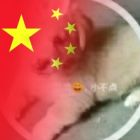 QQ头像