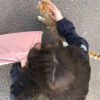 湖北网友75171