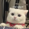 湖南网友30540