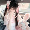 河北网友56590