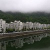 河北网友24718