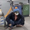四川网友77928