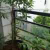 山西网友48174