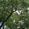 山东网友54644