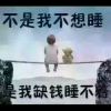 重庆网友79509