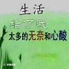 西藏网友91814