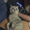 宁夏网友75131