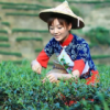 云南网友28360