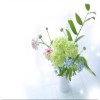 河南网友30059