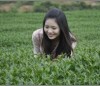 山东网友52282