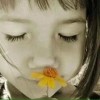 山西网友22115