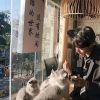 北京网友45720