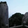 西藏网友36630