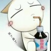 吉林网友54046
