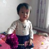 广东网友90044