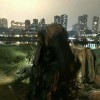 北京网友30959