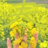 新疆网友95414