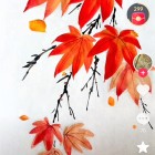 QQ头像