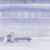 海南网友22147
