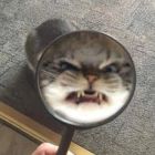 QQ头像